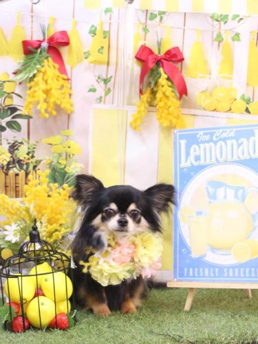 20240420アリューくん